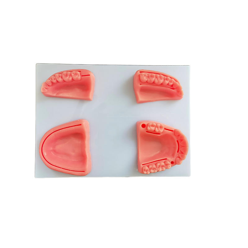 Oral suture practice kit dental medical training pad with multiple wound types for dentist wholesale supplier